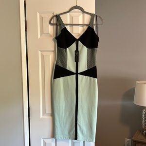 Kardashian Kollection Mint Green and Black Dress